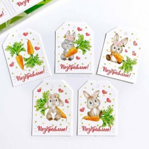 Набор декоративных бирок «Морковки»