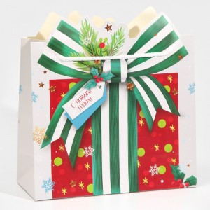Пакет подарочный «Подарок», зеленый бант, 25 × 26 × 10 см     