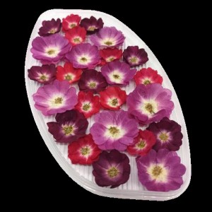 Роза обезвоженная микс (Огненный поцелуй, Пурпурный фламинго, Бордовый бархат), (5шт)