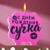 Свеча для торта "С днем рождения, сучка", 10х10 см, розовая